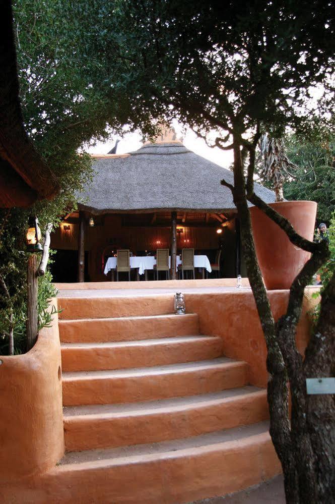 Amakhala Safari Lodge Paterson Kültér fotó