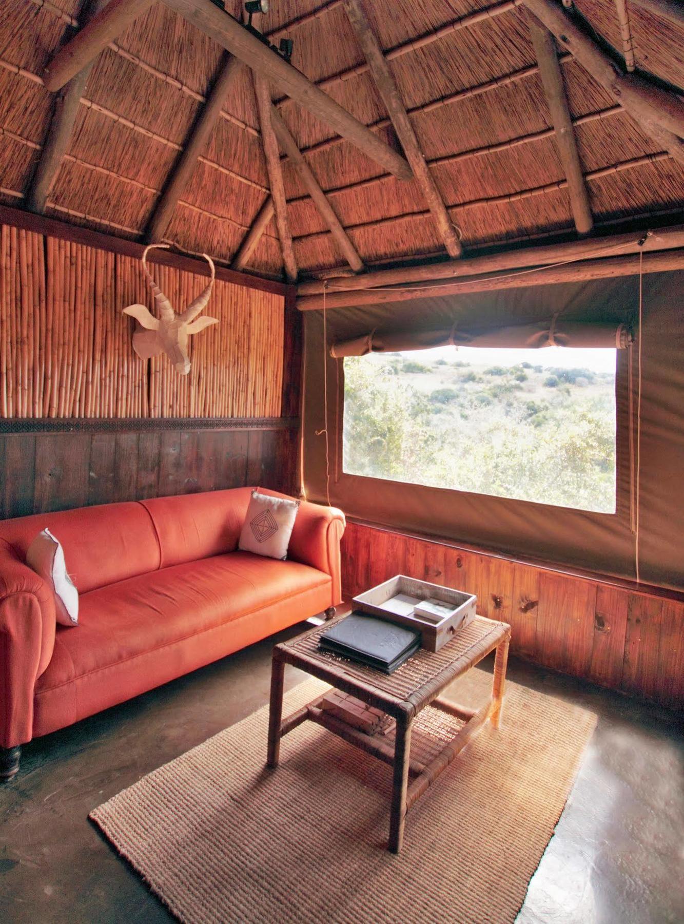 Amakhala Safari Lodge Paterson Kültér fotó