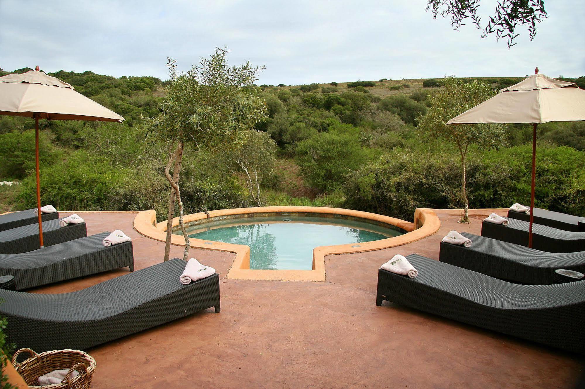 Amakhala Safari Lodge Paterson Kültér fotó